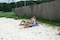 Galeriebild
